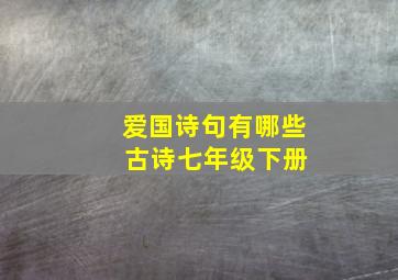 爱国诗句有哪些 古诗七年级下册